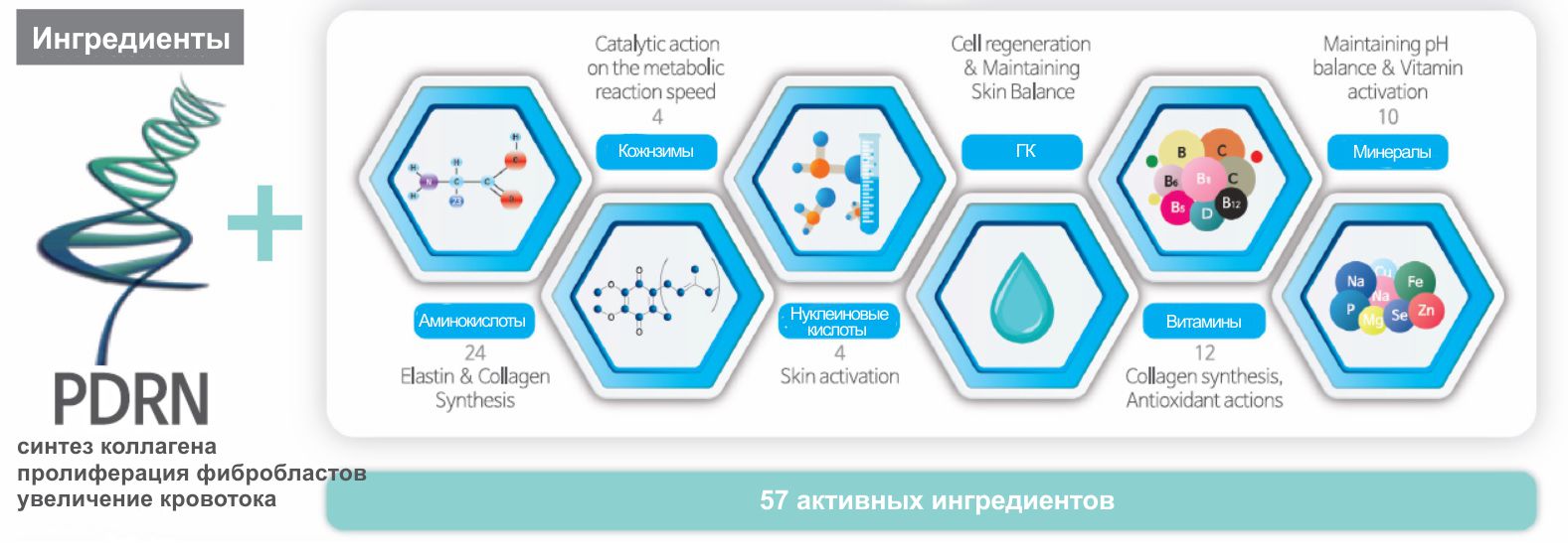 HP Cell Regation Fluid solution plus 57